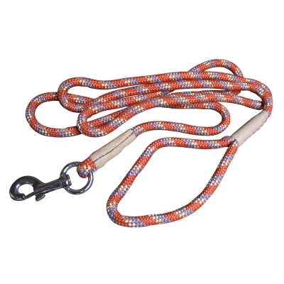 Cattle Lead